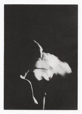 Chantal Elisabeth Ariëns