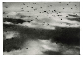 Chantal Elisabeth Ariëns