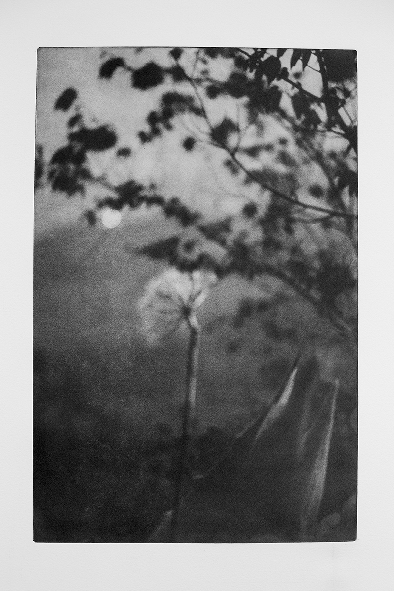 Chantal Elisabeth Ariëns — Where are you