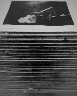 Chantal Elisabeth Ariëns