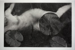 Chantal Elisabeth Ariëns