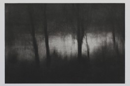 Chantal Elisabeth Ariëns